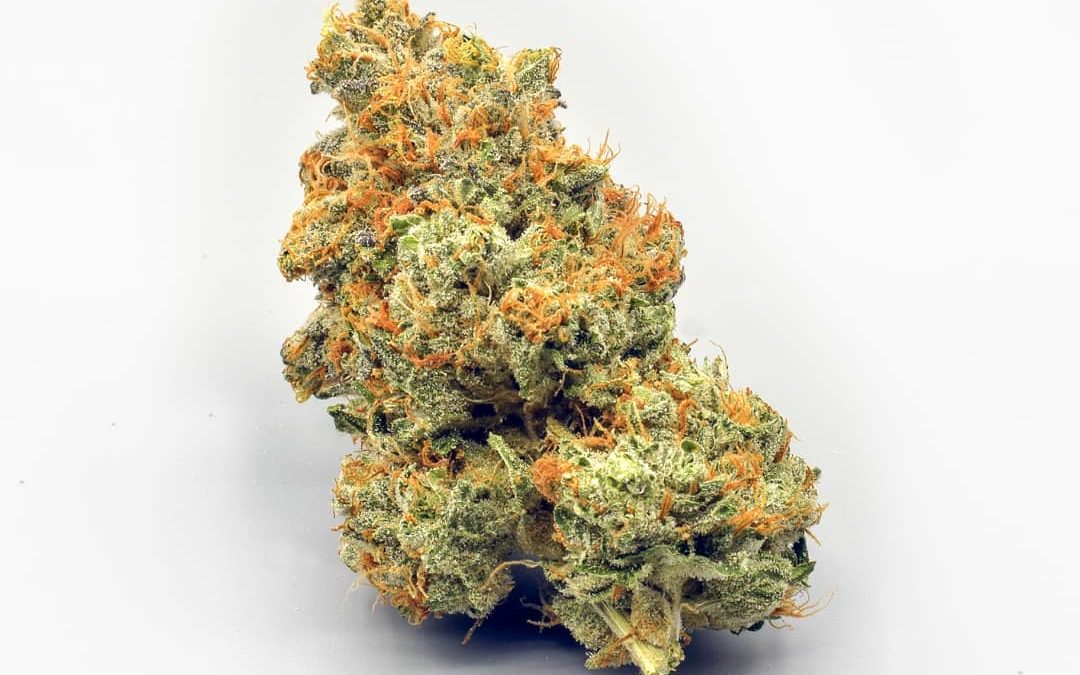 Tangy Tranquility: Lemon Gelato Strain Review